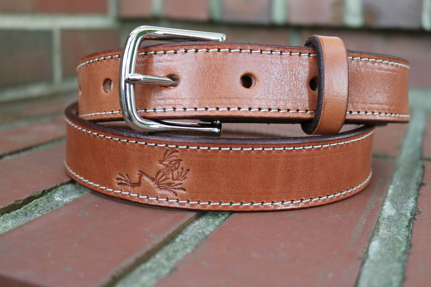 Bone Frog Belt